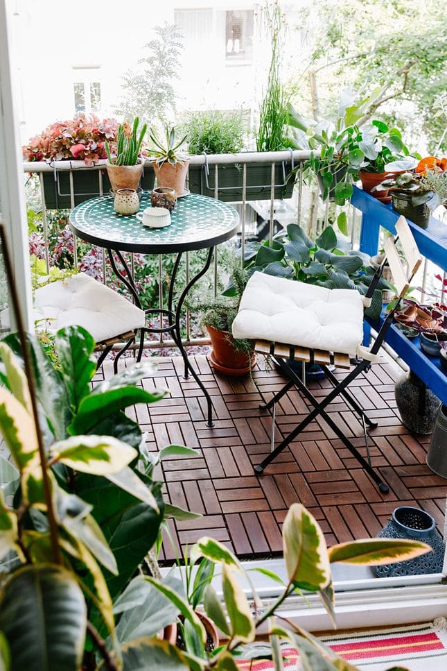 A small, charming balcony transformed into a lush urban garden. The floor is covered with interlocking brown wooden deck tiles, creating a warm and inviting surface. A round metal bistro table with a light blue and green mosaic tile top is set with two small terracotta pots containing succulents and a white cup and saucer. Two metal folding chairs with white cushions are placed around the table. The balcony railing is lined with various potted plants, including colorful flowers in window boxes, leafy green plants in terracotta pots, and taller grasses. A bright blue metal shelf unit against the back wall also holds numerous plants and gardening supplies. The foreground is filled with large, vibrant green and variegated leafy plants, partially obscuring the view and creating a sense of being immersed in greenery. Sunlight filters through the leaves, highlighting the textures and colors of the plants and furniture. The overall impression is a tranquil and private outdoor space, perfect for relaxing in a small urban environment in Valparaiso, Indiana. The presence of various potted plants suggests a love for gardening and creating a natural oasis.